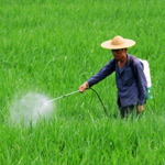 農藥行業用消泡劑